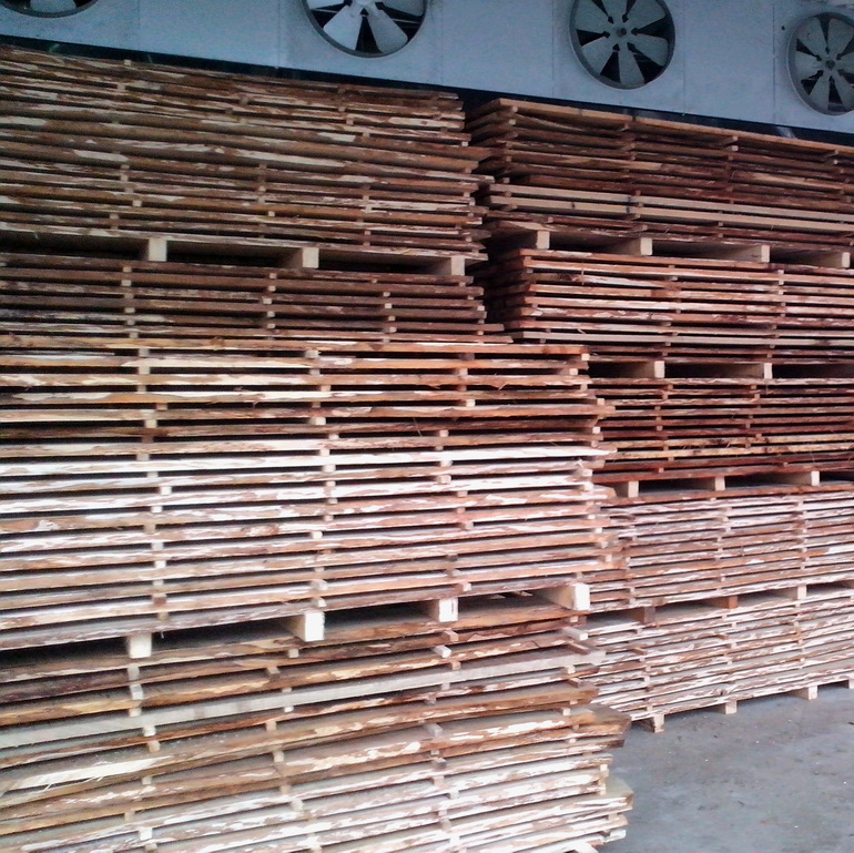 susenje hrastovih ploca